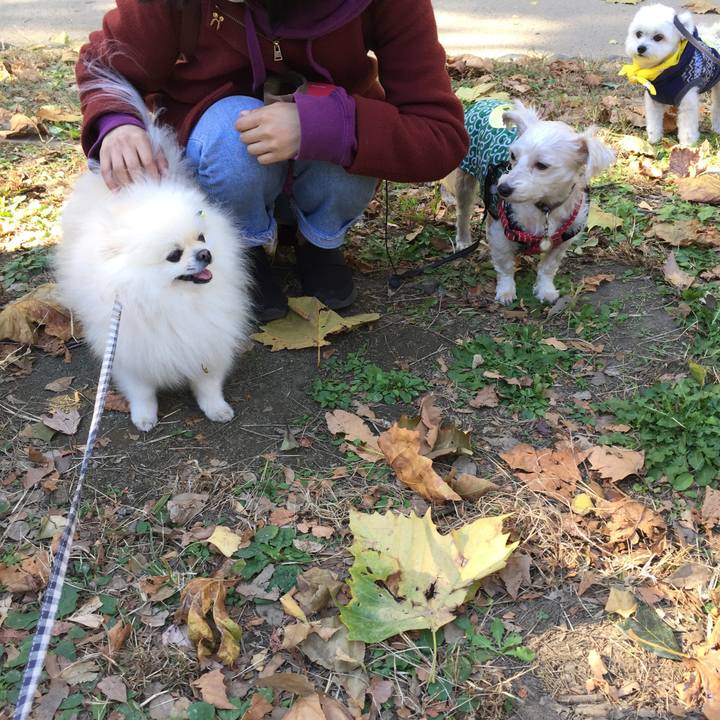 F821e114 f976 465e b5d3 a4447d1f08b0 1606548756264