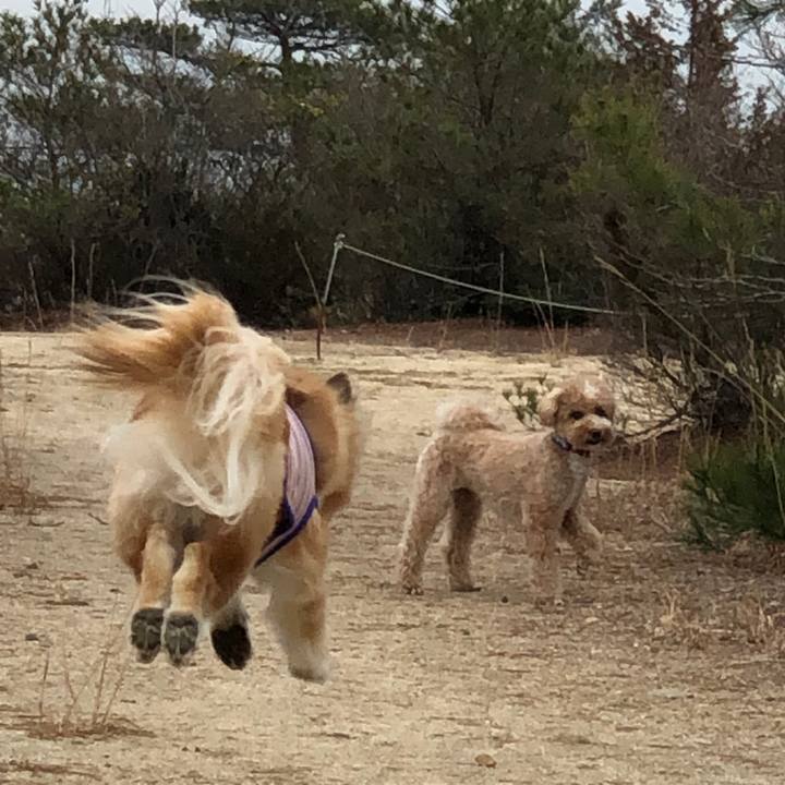 F821e122 bc59 4b3b ba4a 11052126909e 1581763051247