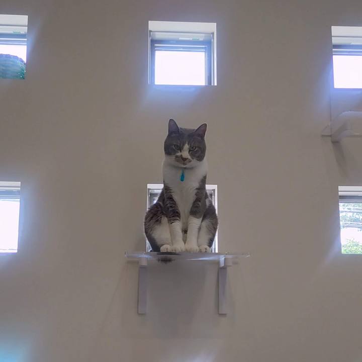 F822b3b8 af1e 4bbb b81d 573498419b5a 1699277050024