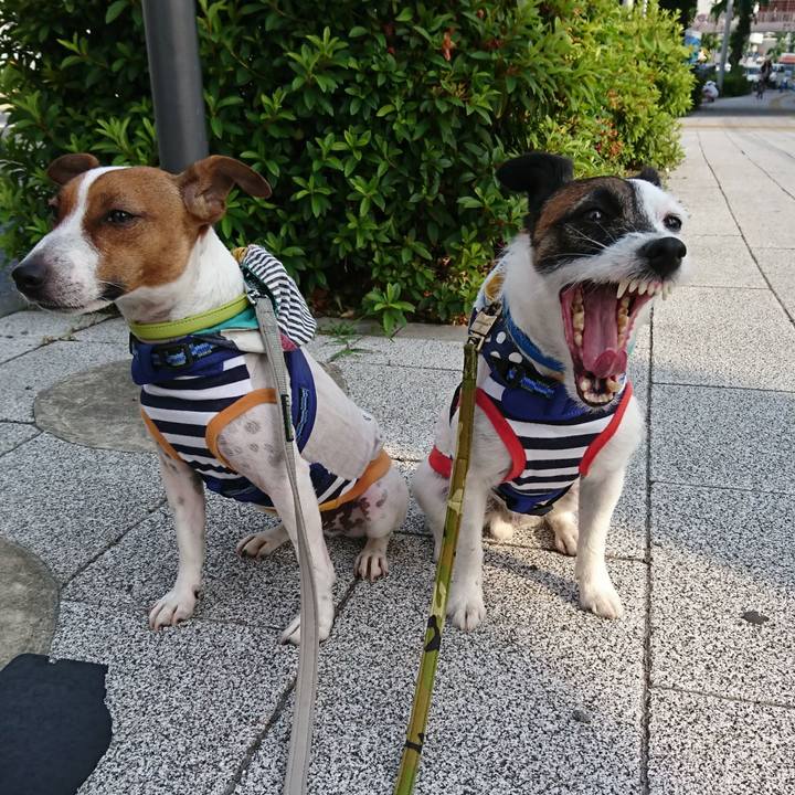 F82323ea 9bc7 48d7 a8fb 6715cac10b21 1559772482473