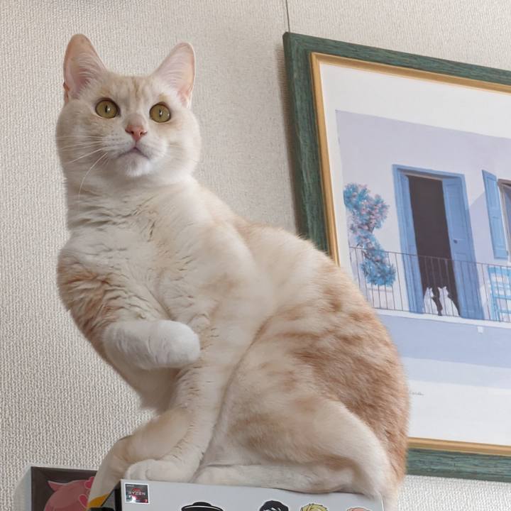 F823a450 326c 438d 8ebe 828181240c78 1705394303265