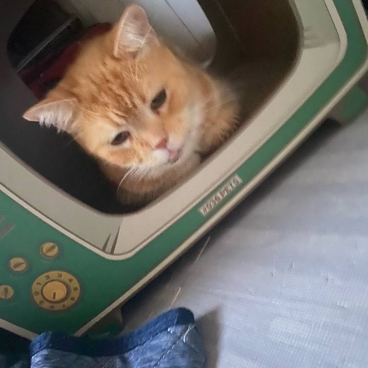 F823af6a c966 4293 aa5f fb756112c9c6 1631478985013