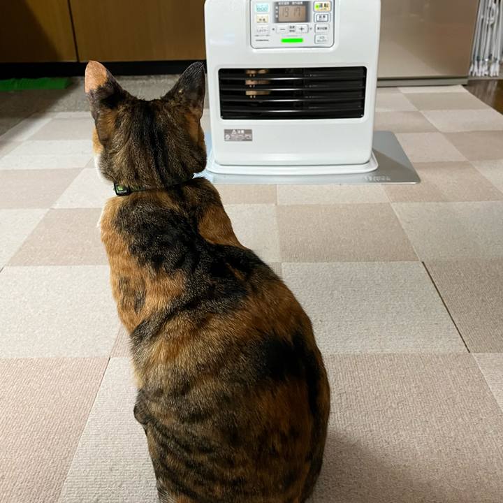 F823e953 78d8 4117 b151 4740f842cc36 1763687223367