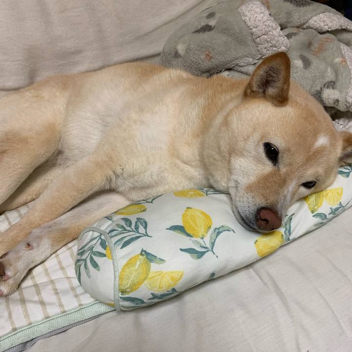 F823ed89 ab4c 42d6 ac1d 874200e78629 1651068527519