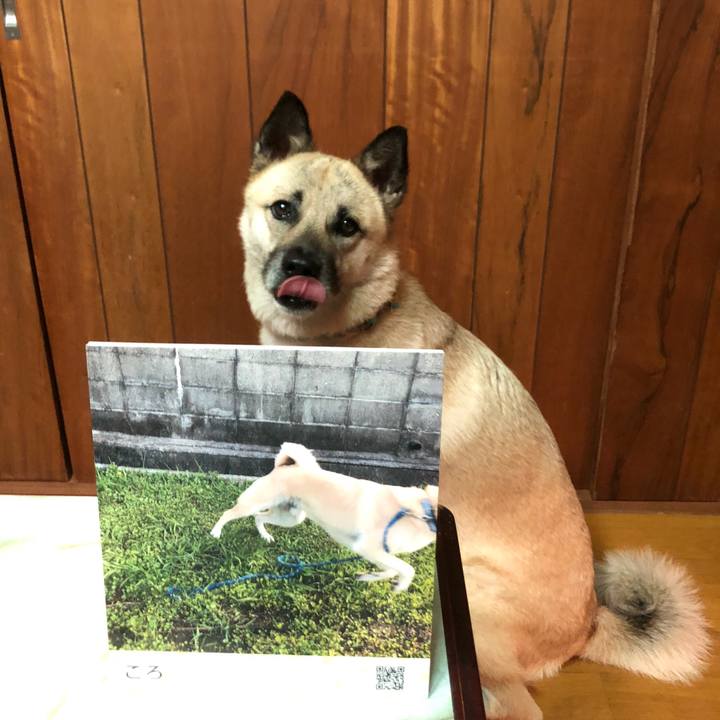 F8241168 6957 4c19 8339 b7235cd3ebe6 1594293607256