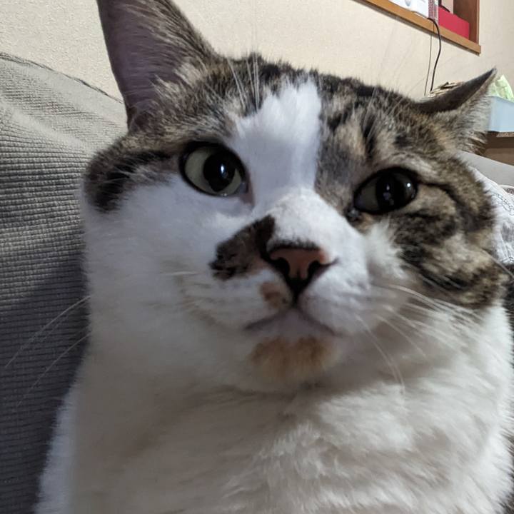 F82426f7 7ffe 4d53 af05 658819beab3d 1696134337170