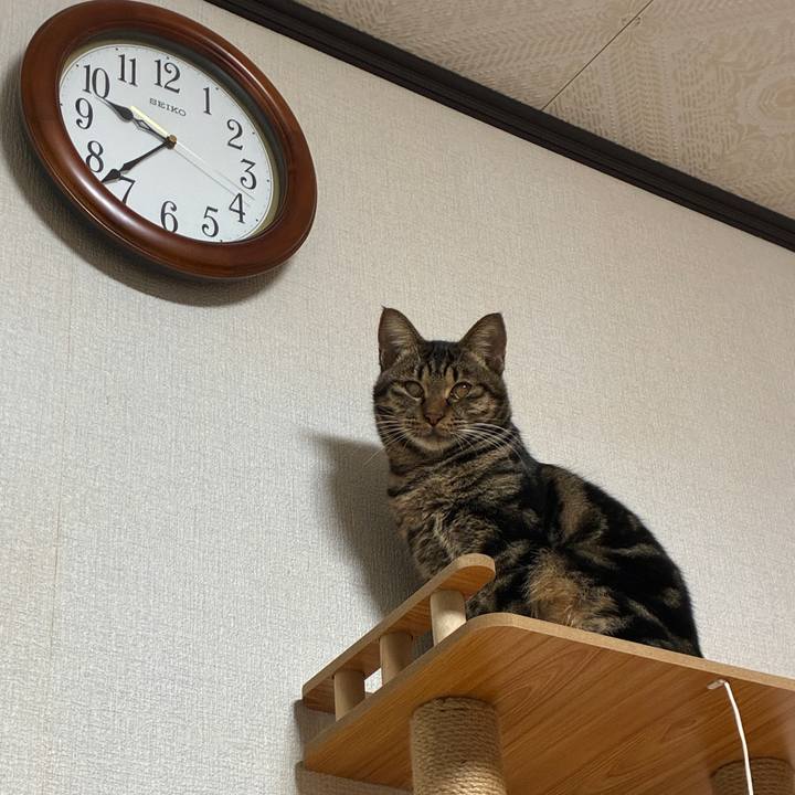 F8243e6f adb5 4934 a996 63ce67544edb 1762778229217