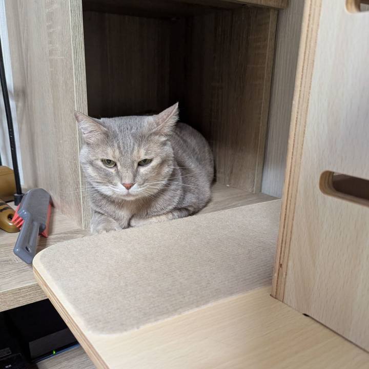 F8246415 c36d 4b69 9345 783daf280f03 1752197119818