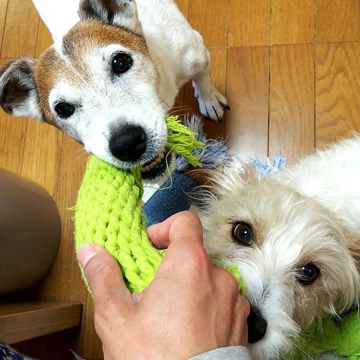 F8246672 a0e8 48e8 9fac 69698296e5ea 1557268035719