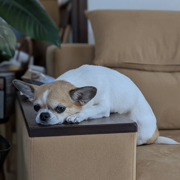 F8249de4 7514 4226 ae30 13da8a53d5b8 1756111523987