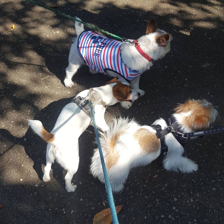 F824a3a4 c931 46eb b2e6 62301fed4afe 1566692208885