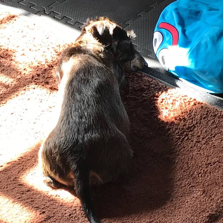 F824a7ed 6bba 490d bcec 6cf2d323e323 1516501473816