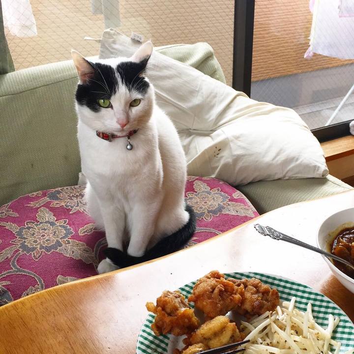 F824e7f8 7ddc 4907 b702 408138c733ac 1551612514238