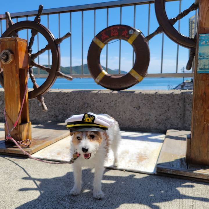 F824ee2c 3c30 4649 a329 c235b81c64af 1717399729171