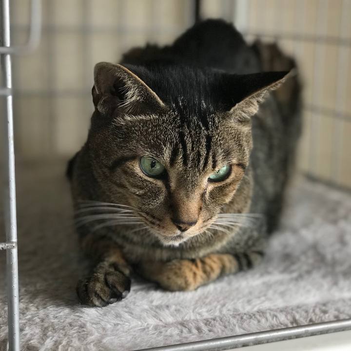 F824f066 7dfe 4d14 89b3 2df77d66622a 1526692389292