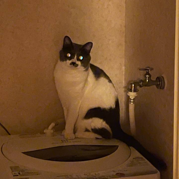 F8252c07 ce4b 4401 97aa 9476a19ec17f 1659879866631