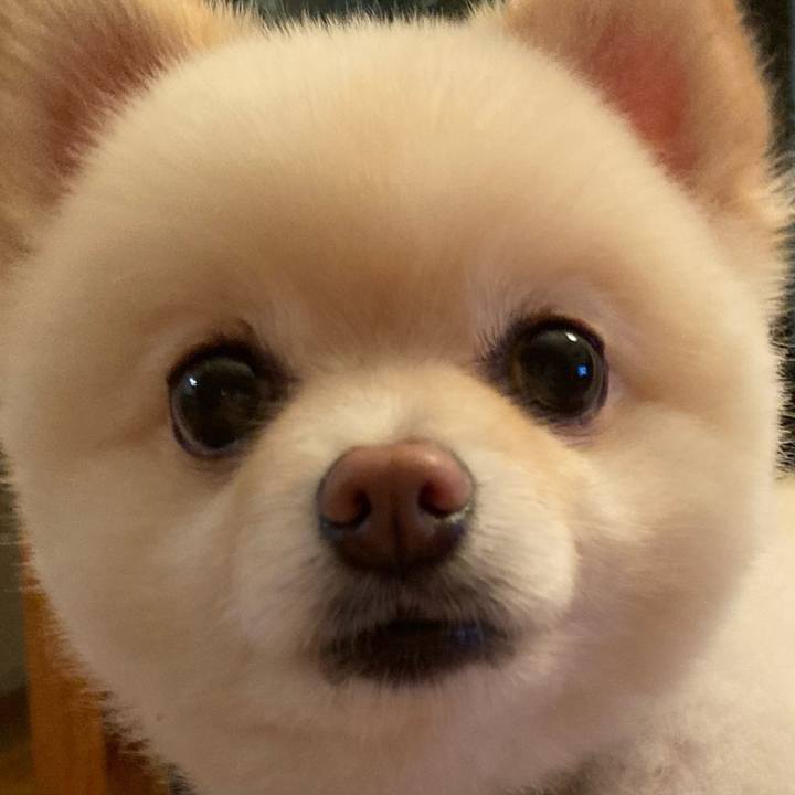 F8254c84 d0f8 4016 a644 62e1bbaa6047 1625659795188