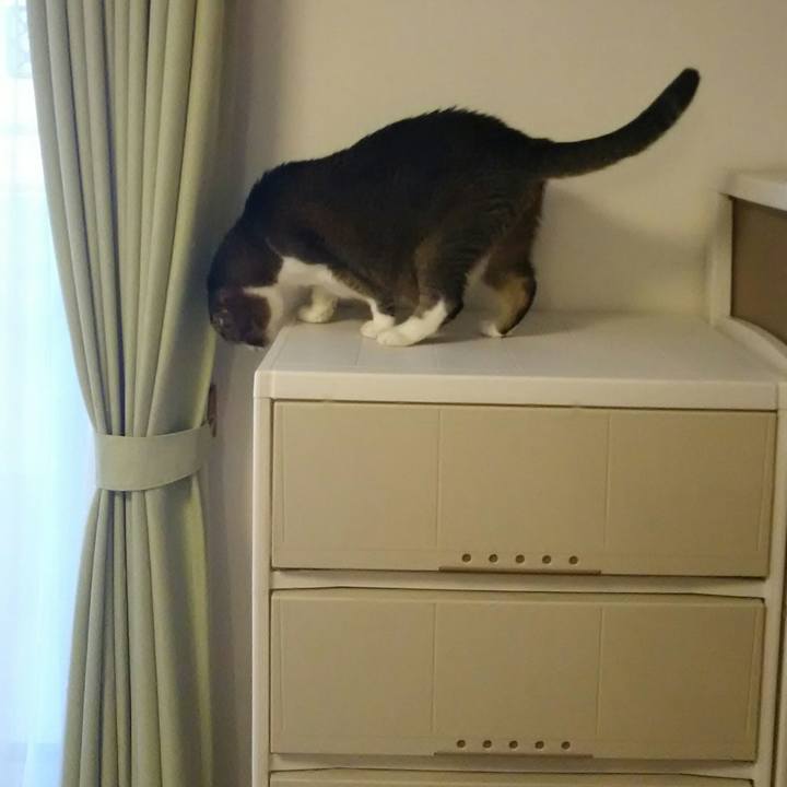 F8256711 b862 4938 9973 170a0a85a1f3 1530411834967