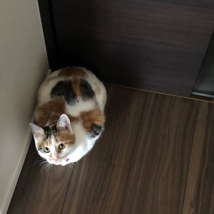 F825b787 b562 4100 ad58 4c759ada396d 1575502420804