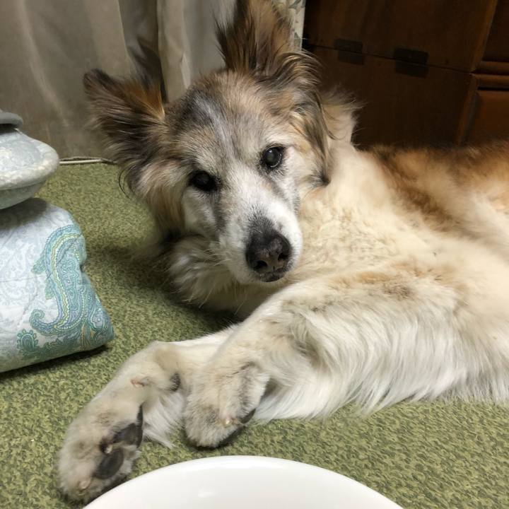 F825bf0c 63b2 47b9 a8ca 9eacce57e944 1553514979442