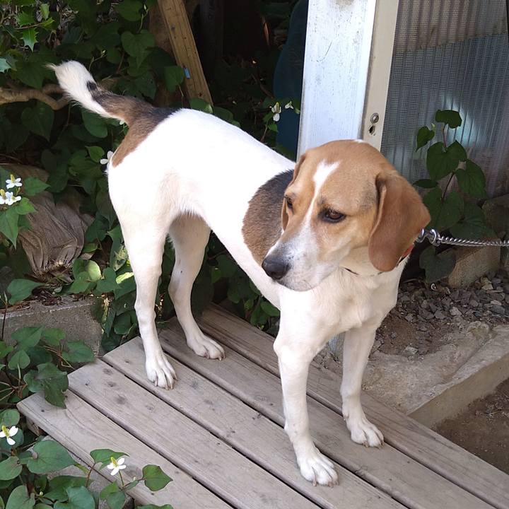 F82618cc e460 436b a418 f5b54bce3370 1622439759389