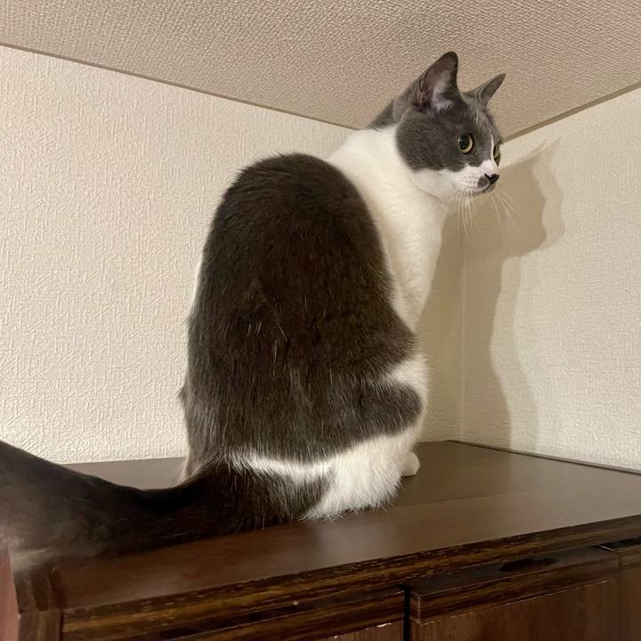 F8263970 da4f 4d5d b10c 0d400c377707 1668518572390