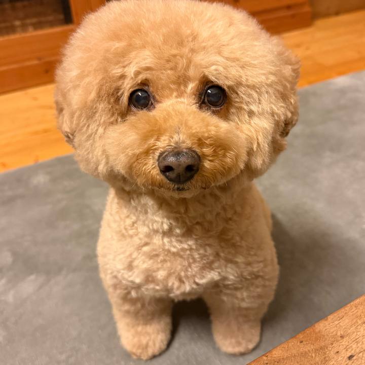 F8264df9 e5be 4de4 a6dc 6e0ec1e1edcc 1761648876515