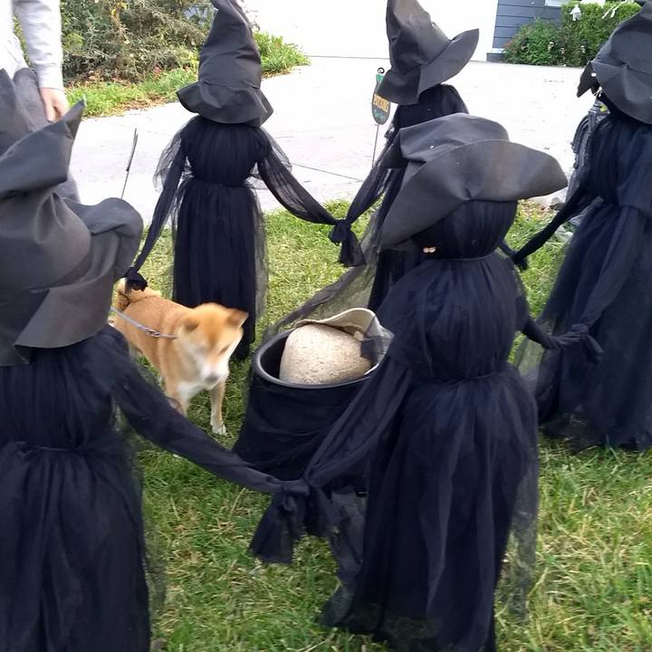 F826787d 23ff 463a b3d7 a7877376f7f9 1507779279246