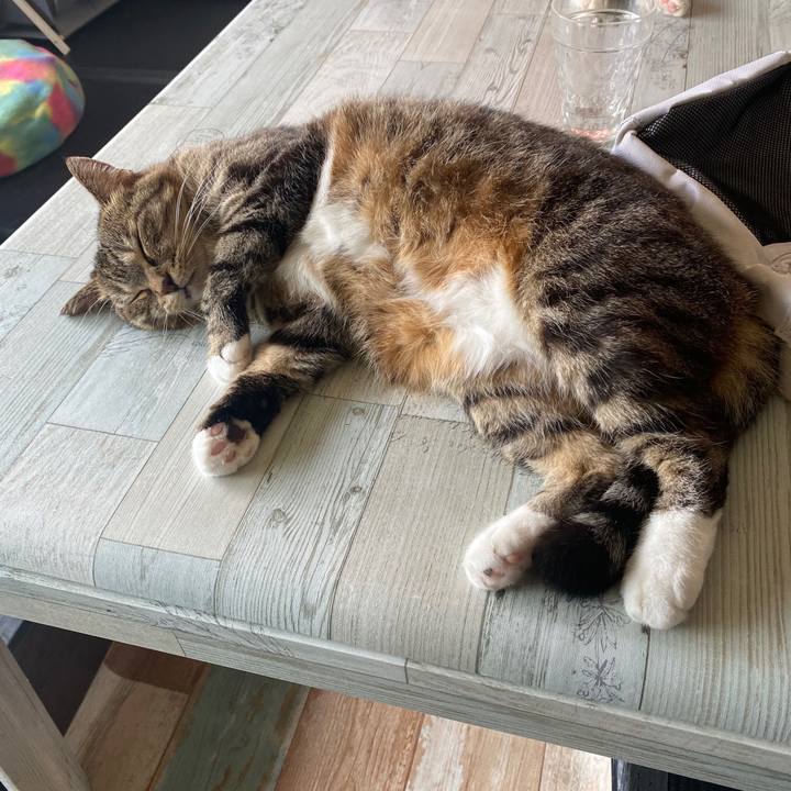 F8267ca6 8c95 40dc 9a00 8a4fc128a9de 1595221424991