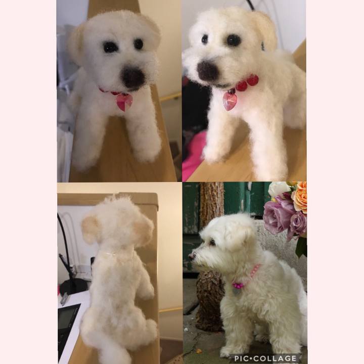 F8267d06 c382 46d7 80eb c7ed5d6474d0 1525008661466