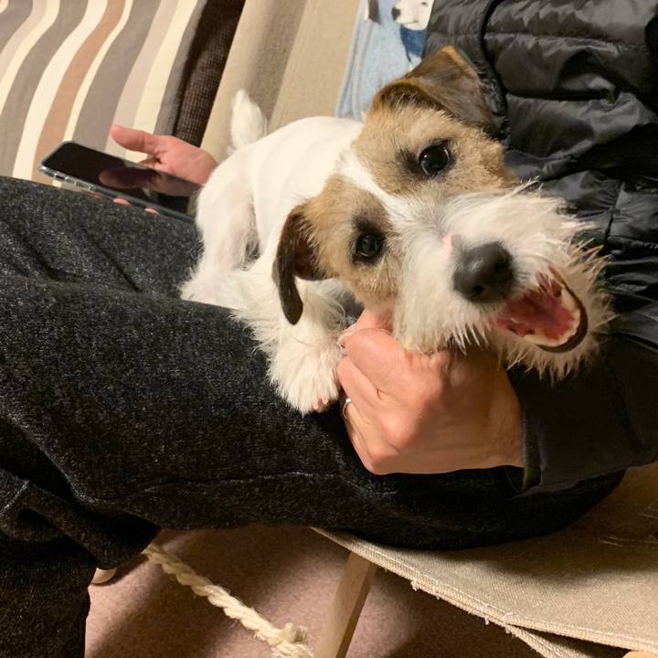 F8268195 7c25 4980 9386 87ea371e3c50 1577966419624