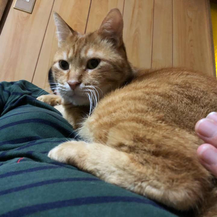 F826faaf 12cd 4fba ab52 50b039c581f2 1592393269010