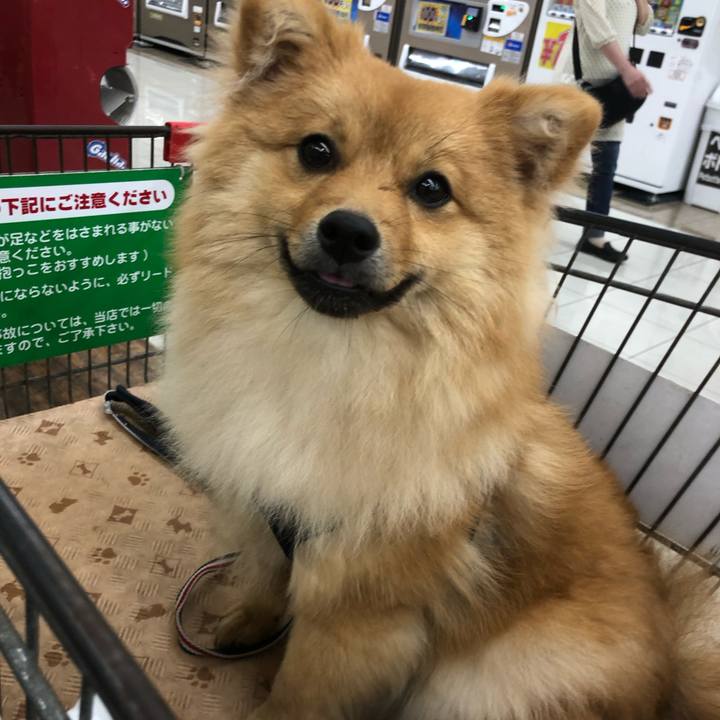 F827244d 9597 46b3 9a03 f577af81f87c 1592118809781