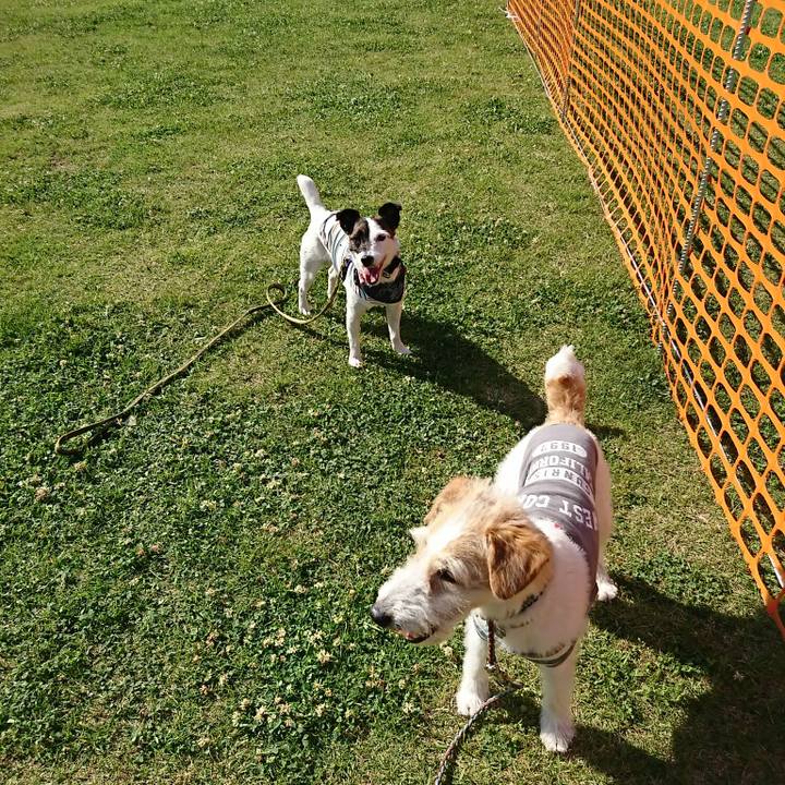 F8274883 bc5e 41a4 b8a9 547f730865f8 1527929918313