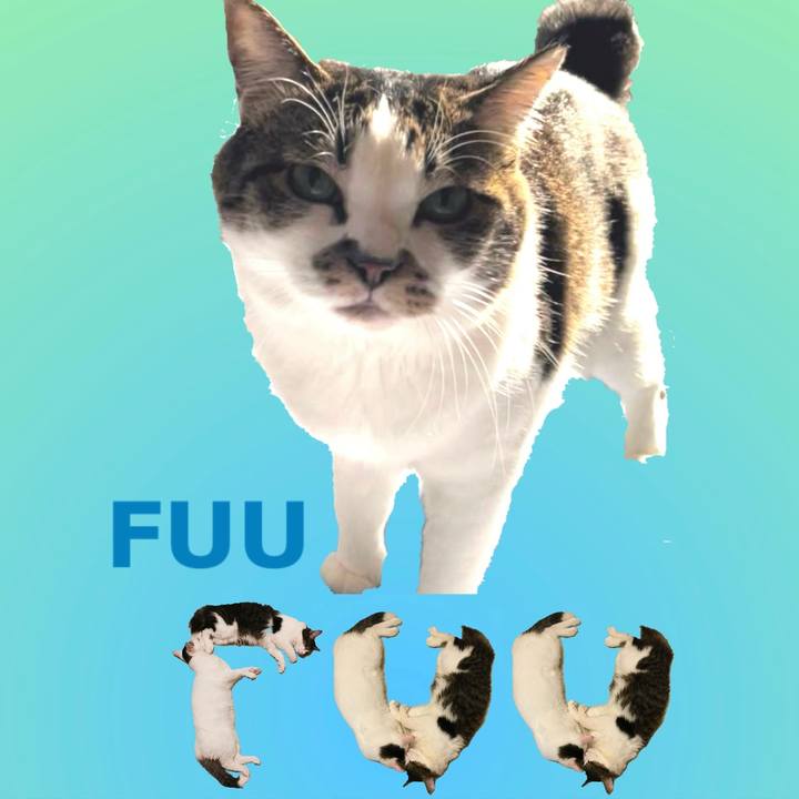 F8276464 ada5 47fe b00a 43b9324ed2e3 1668300615662