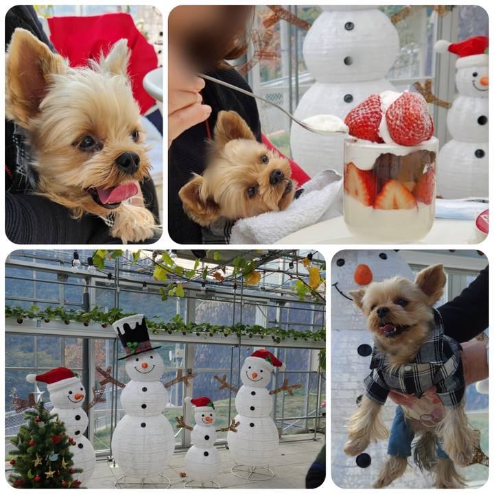 F8277432 292b 4d3f ad58 ee611729c935 1732332630826