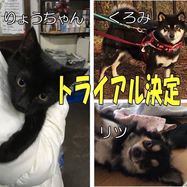 F827c11b bcde 4507 b74f 231a67bda7c2 1551004237984