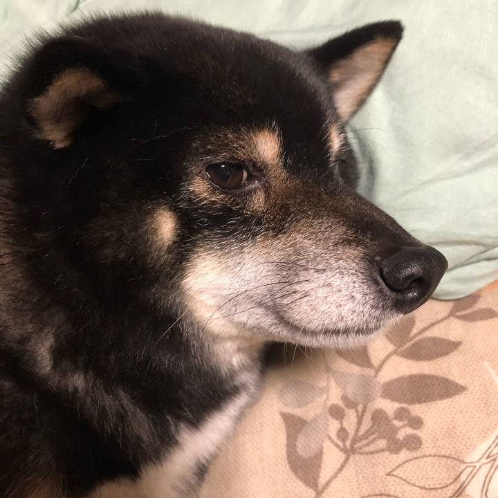 F827c885 d625 45c6 ba6d 39f59dae9855 1606640376563