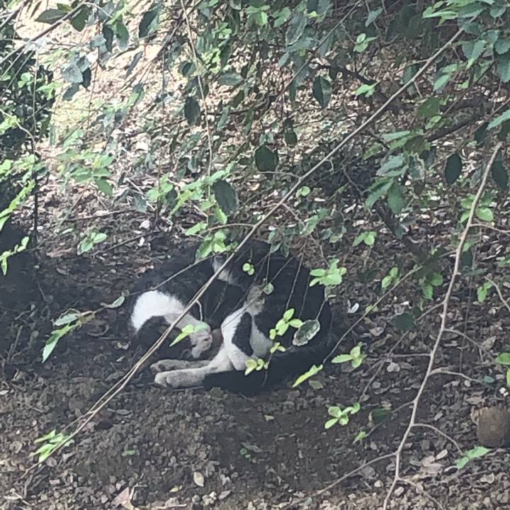 F82809dc af2b 4461 8965 276a4adc4de6 1570414816852