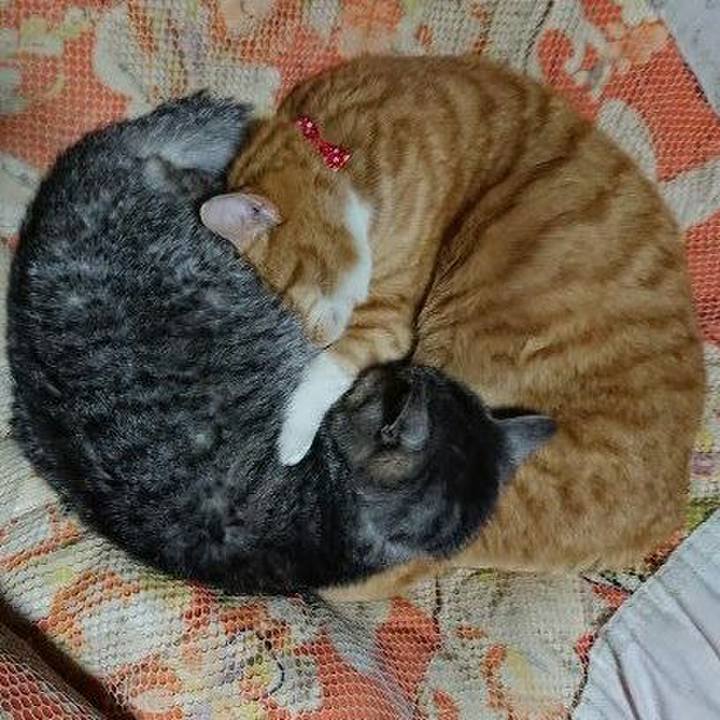 F82852fb 1a2b 4525 ab57 4047dfcc18e6 1577797827752