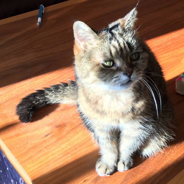 F8285e6b 2791 407d ae7e d1f46a54122e 1510829659906