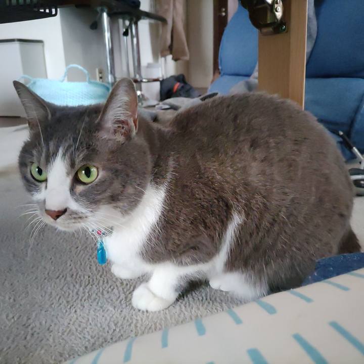 F82895dc 4bf3 4c7e 9879 8c15d4760149 1682294218475