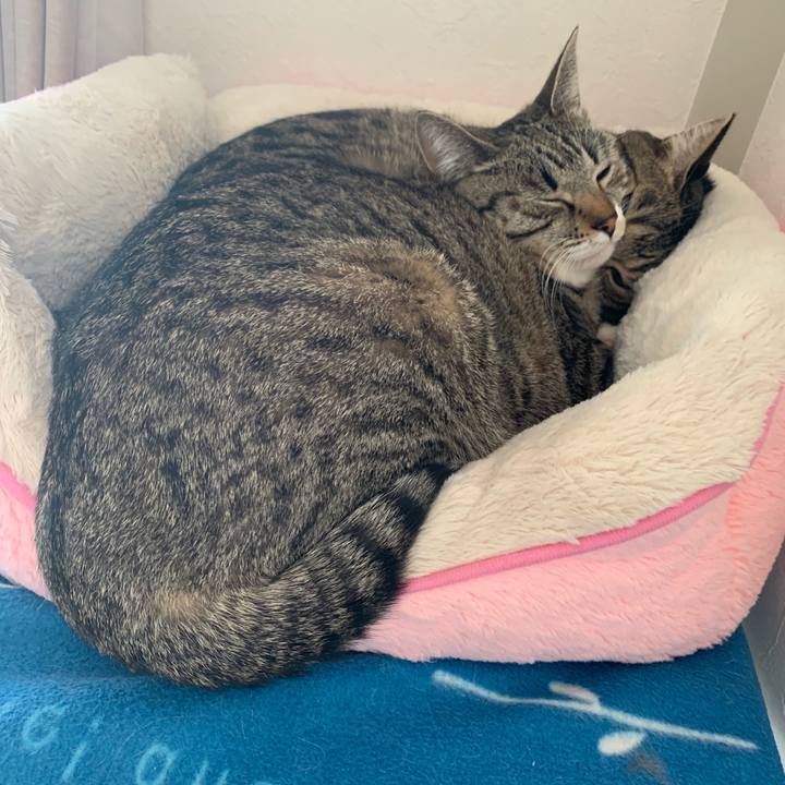 F828aa9b bb48 481d 886a 3ddb01eb7029 1546059667182