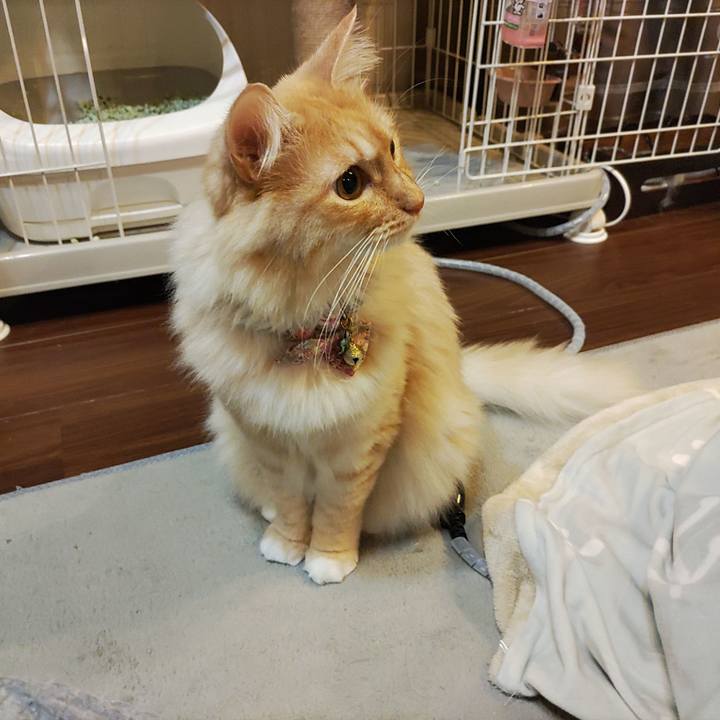 F828b75c f8e7 4c33 918d 699cd0ca4b9a 1669815390362