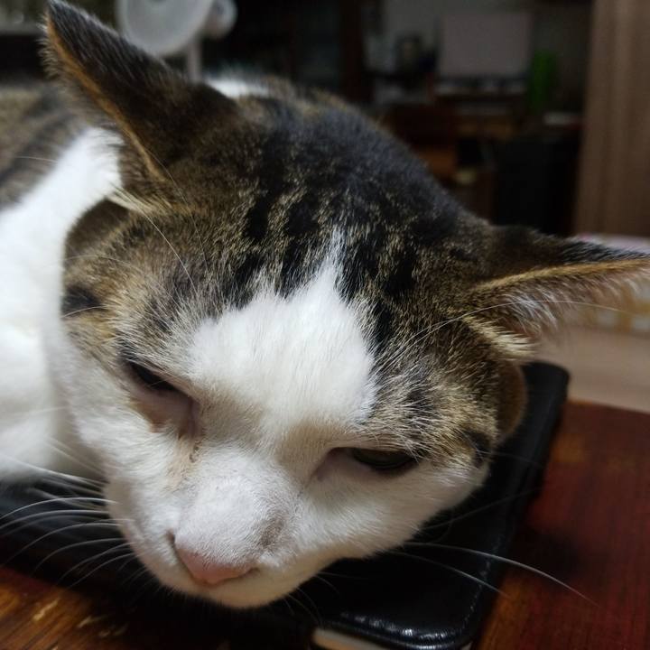 F828be6e 8200 4fd5 8f95 7f9d987bbab8 1568115073489