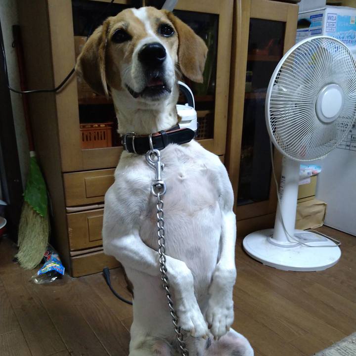 F828cf7d 0c9f 4cf3 acbe 2e13eed43dfb 1659676650026