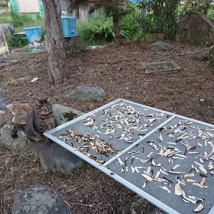 F828dc8c 4fdf 4ed8 8a73 9bc97faf3e88 1662801781745