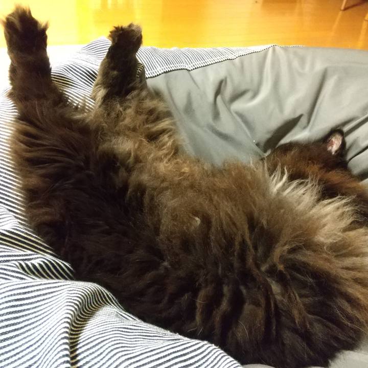 F82921ce fbff 4711 bac6 228da14090e9 1606823007196