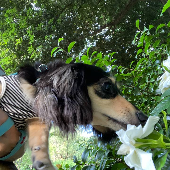 F8293491 a086 4606 98f9 6a795f109a1b 1689717815896