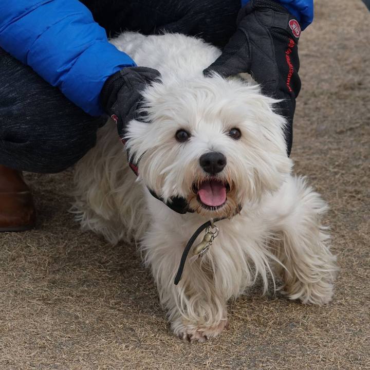 F8294e9d bb79 476c 9f3d 174ec82dd515 1517179841549